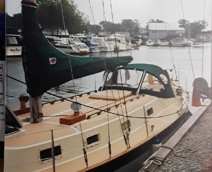 Albatross - Image 4