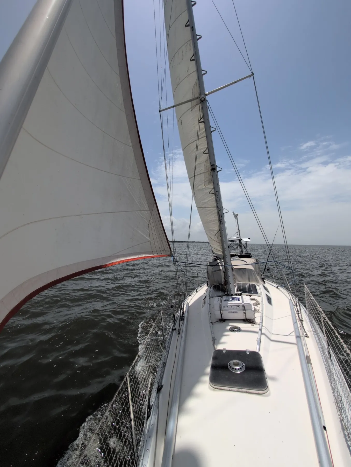 Luma - Image 7