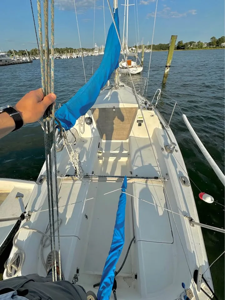 Laminar Flow - Image 10