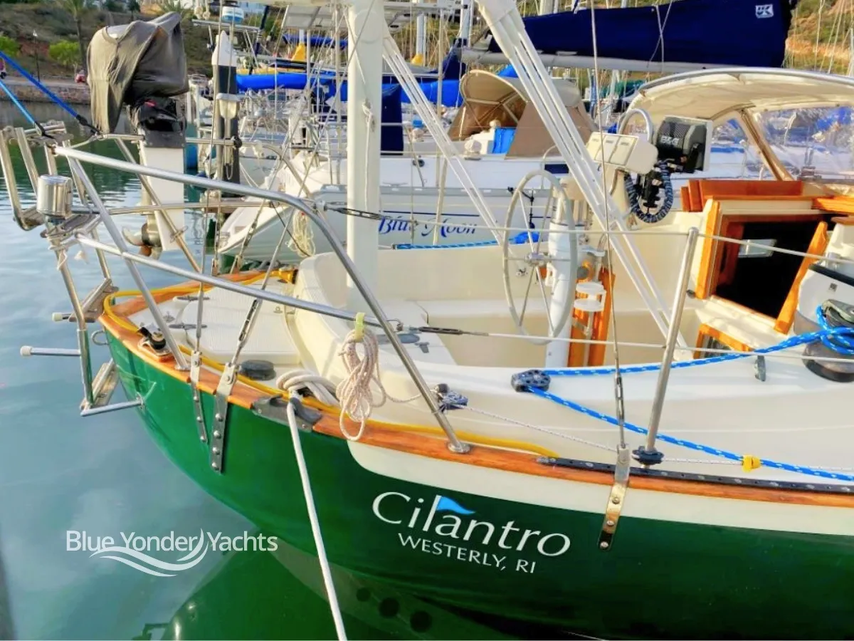 CILANTRO - Image 24