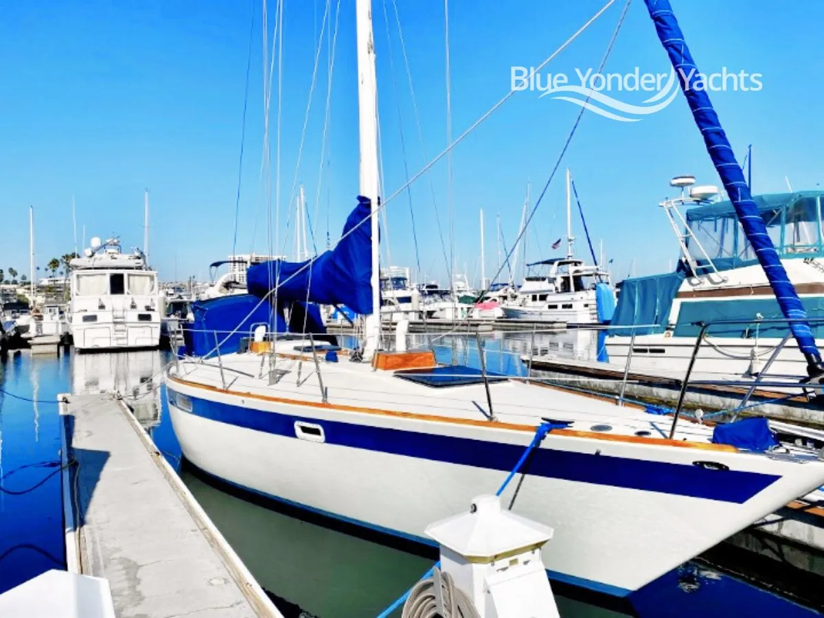 MarBella - Image 1