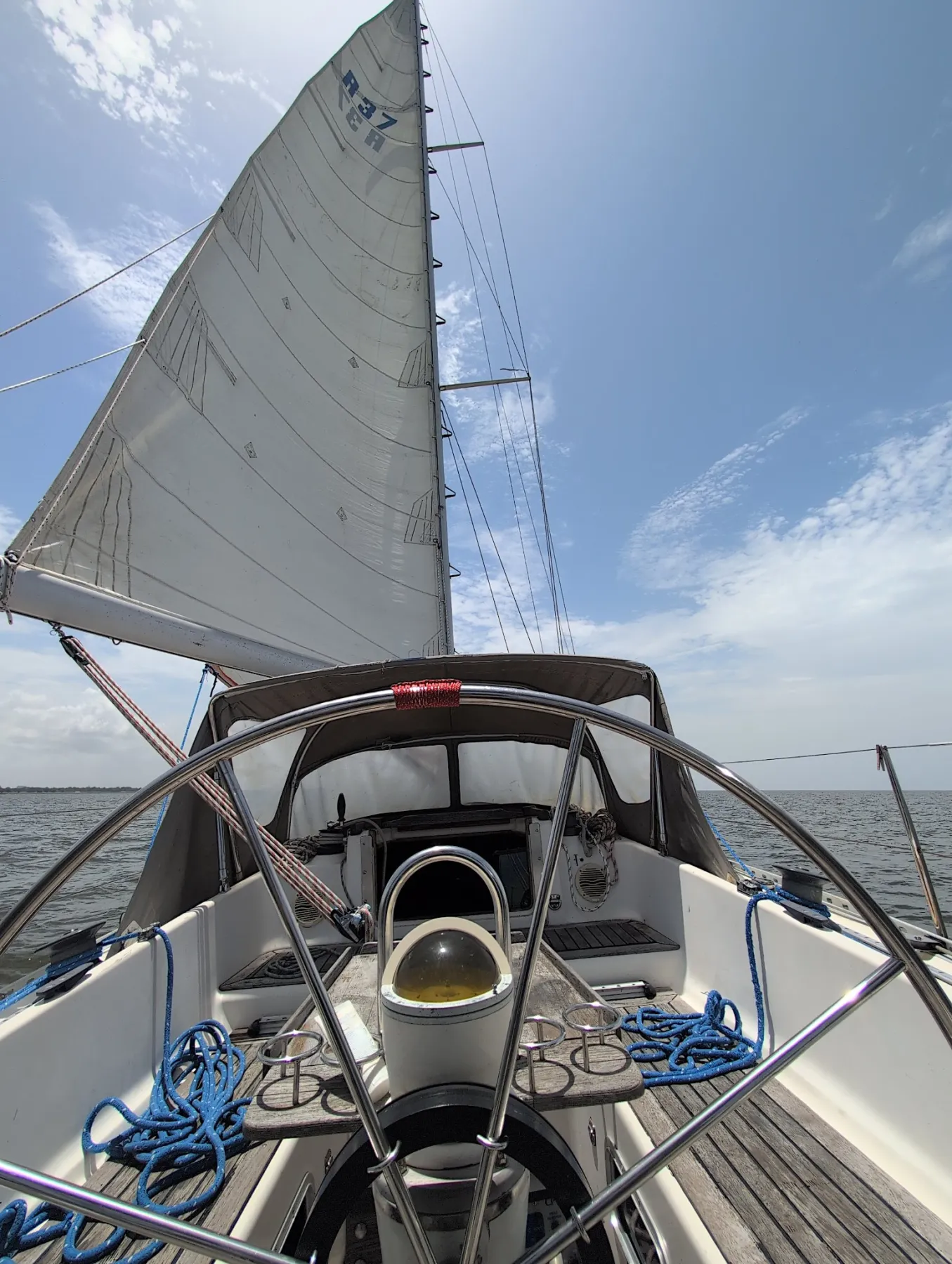 Luma - Image 8