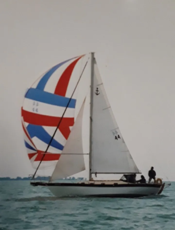 Albatross - Image 1