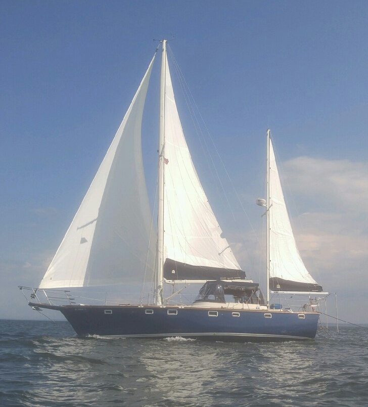 StimaBida - Image 1