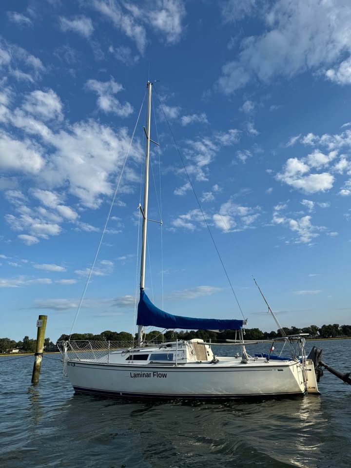 Laminar Flow - Image 10