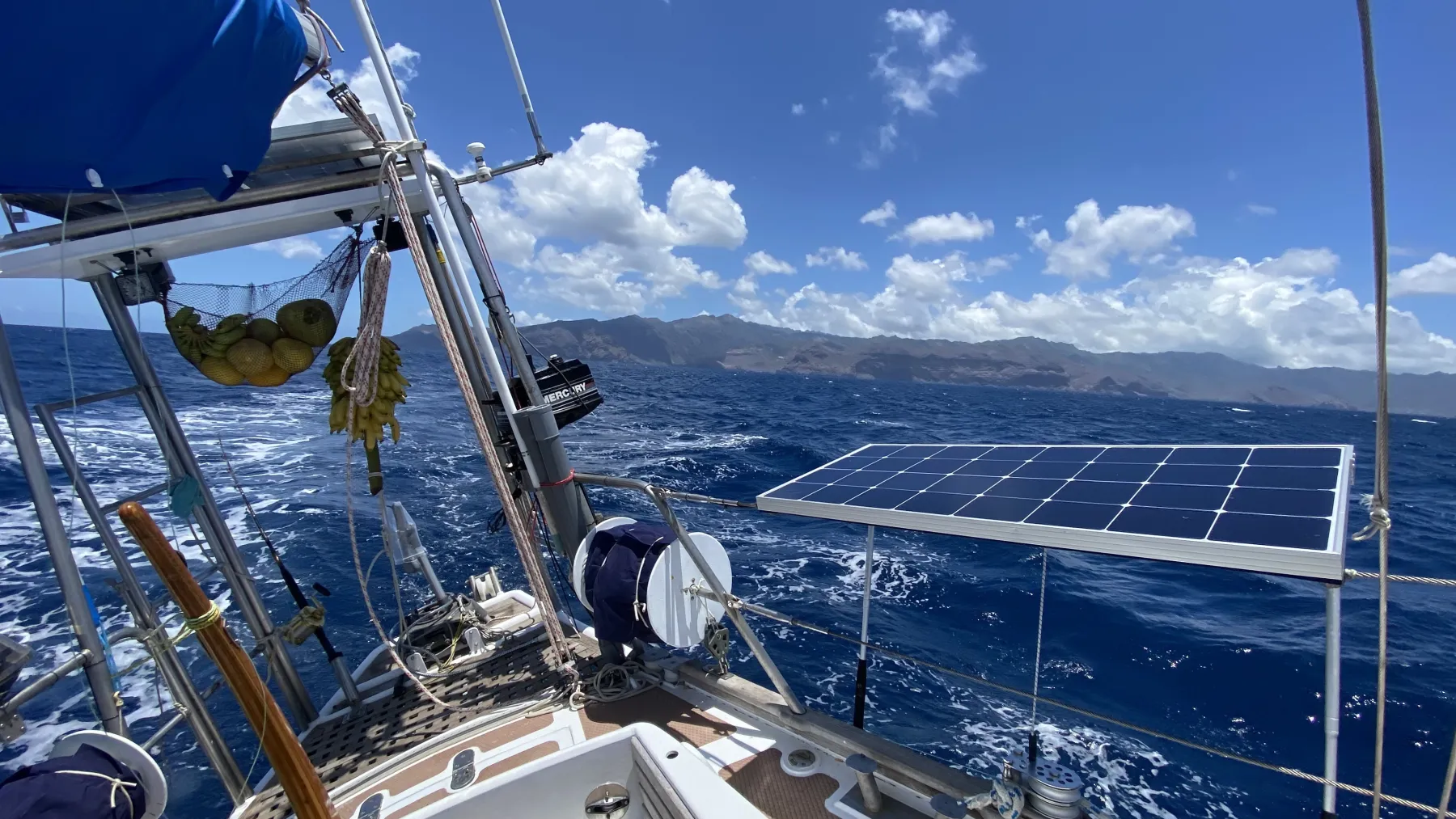 Moana - Image 11