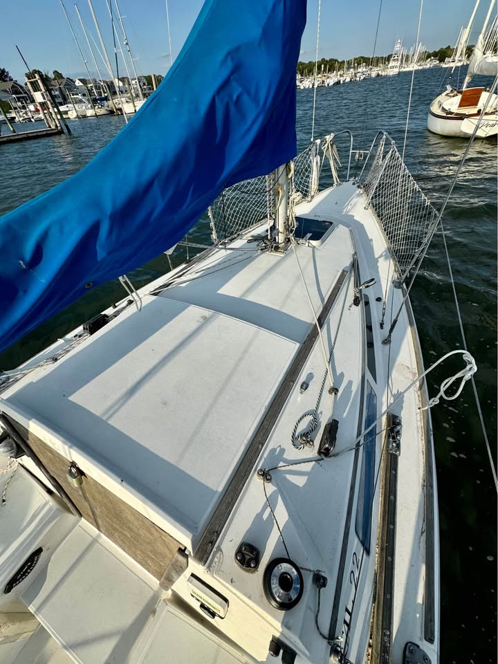 Laminar Flow - Image 3