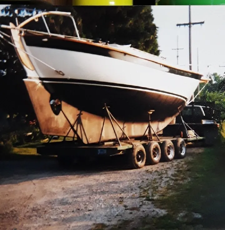 Albatross - Image 2