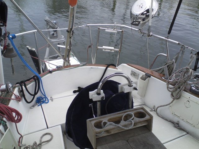 Seagull - Image 4