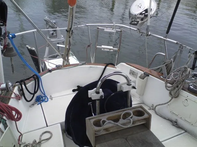 Seagull - Image 4