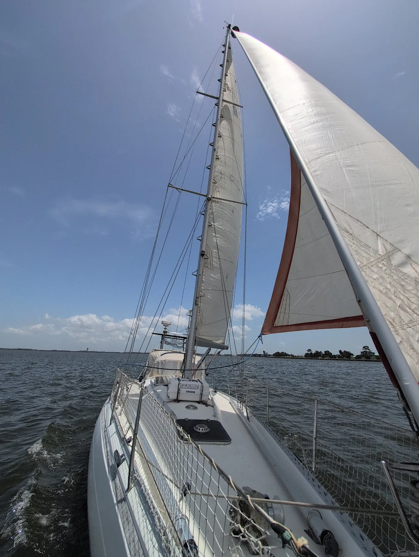 Luma - Image 5