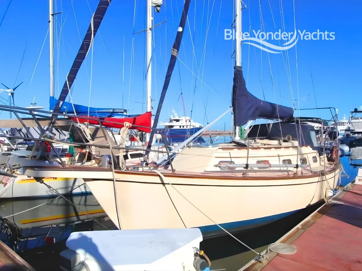 Zephyr - Image 6
