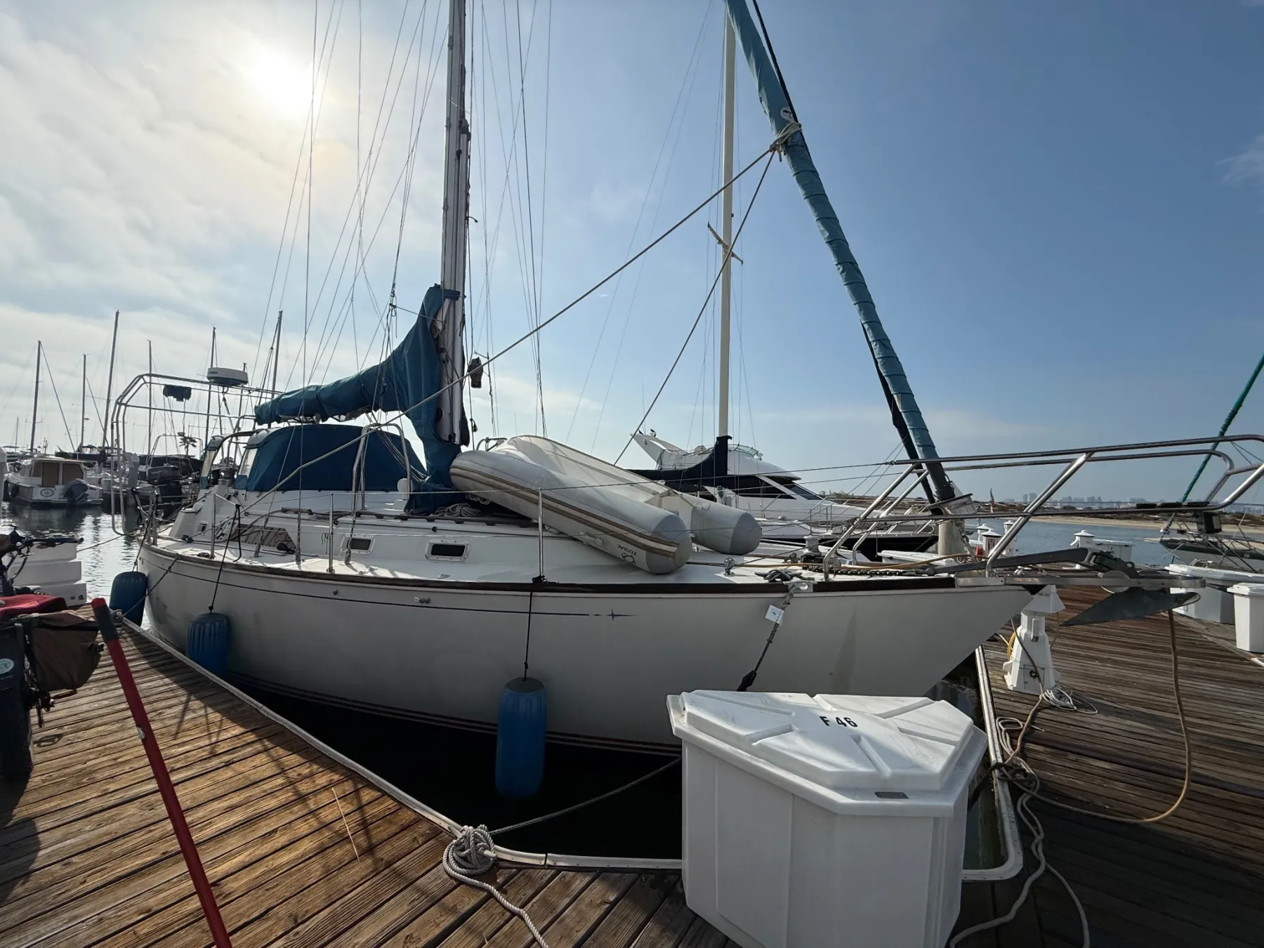 Gabriella - Image 5